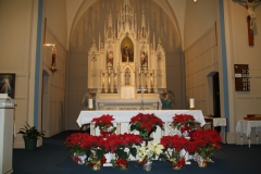 nativitybvm_07